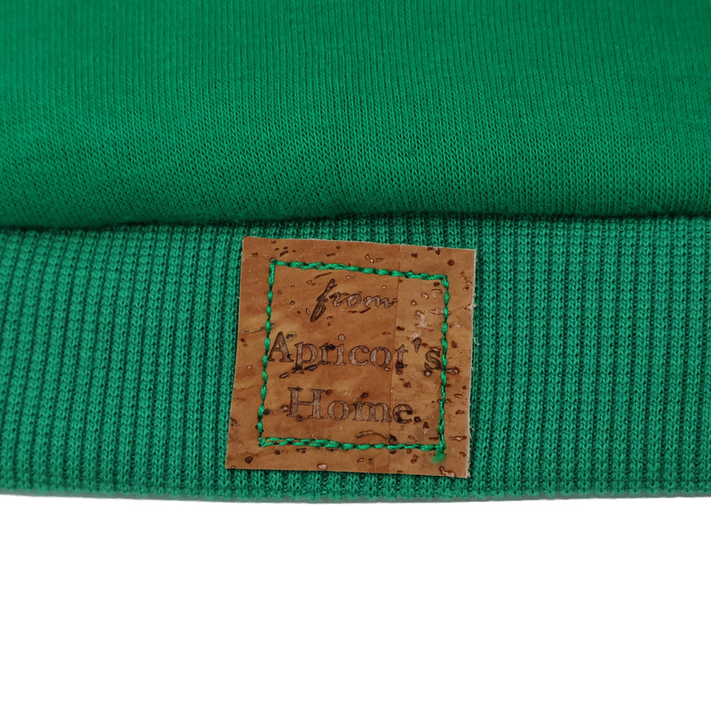 The Snow Days Dog Hoodie in Green
