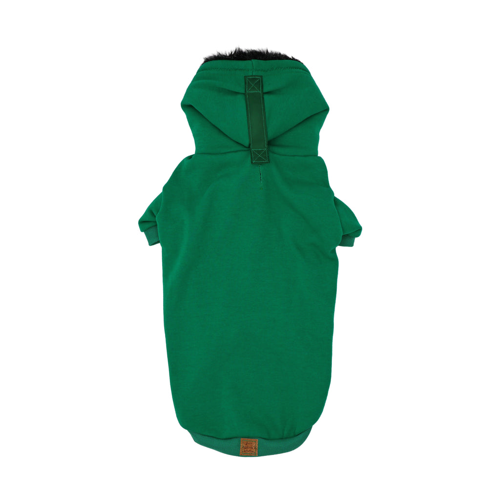 The Snow Days Dog Hoodie in Green