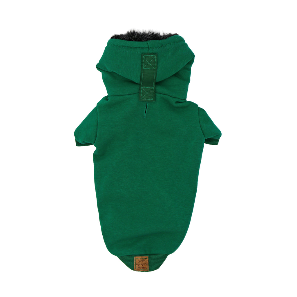 The Snow Days Dog Hoodie in Green