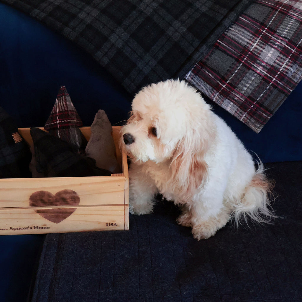 The Christmas Tree Dog Toy in Plaid